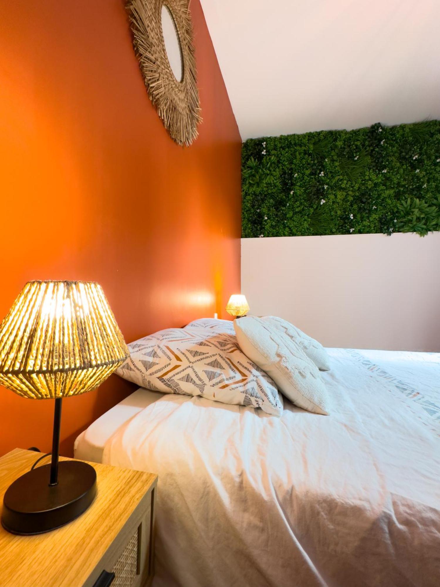Le Patio ※ Carnot Appartement Carcassonne